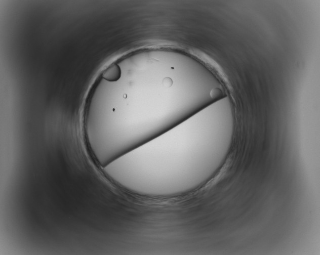 X0000099501231200805150942