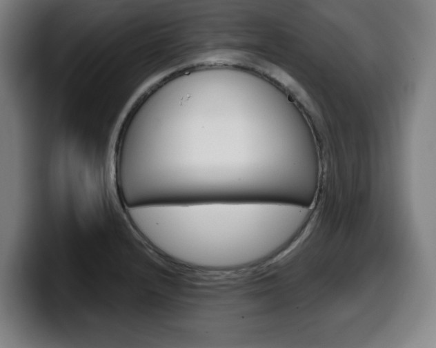 X0000099501232200805150942