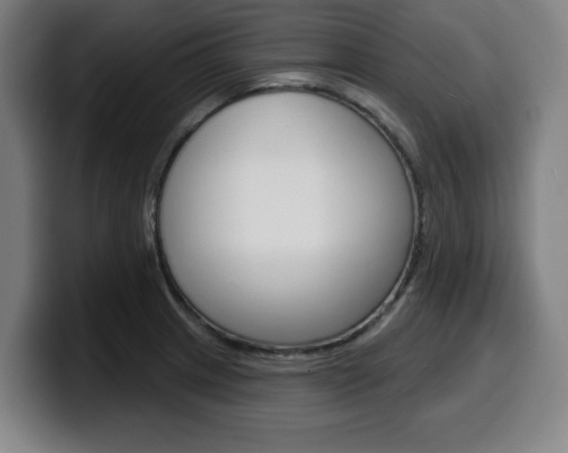 X0000099501233200805150942