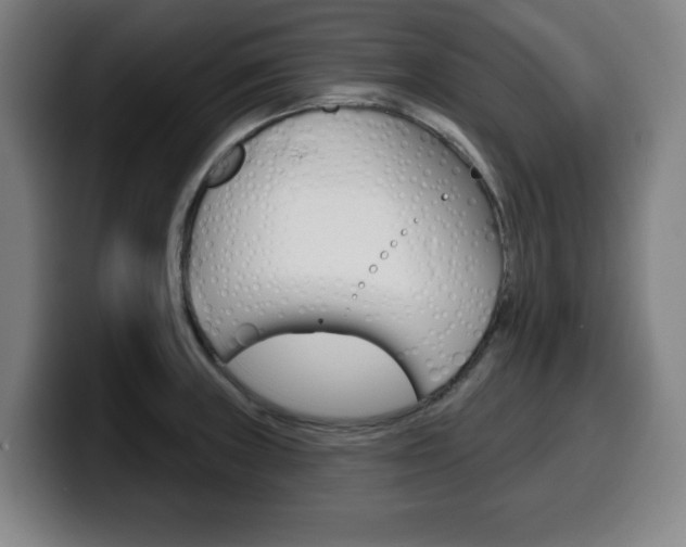X0000099501235200805150942