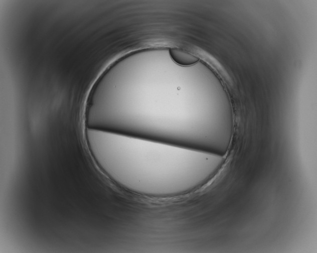 X0000099501236200805150942