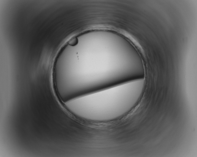 X0000099501237200805150942