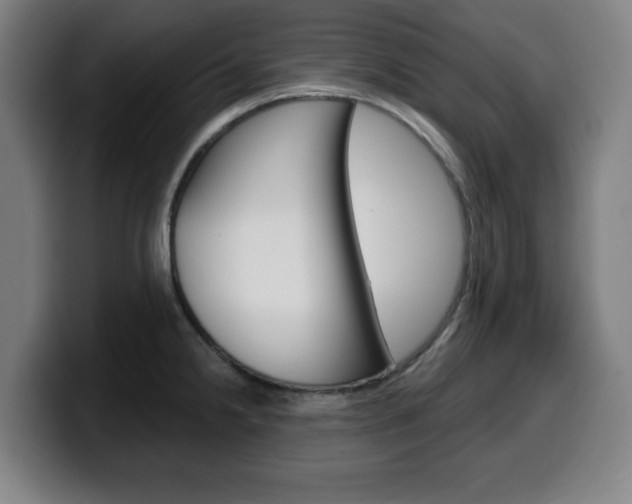 X0000099501238200805150943