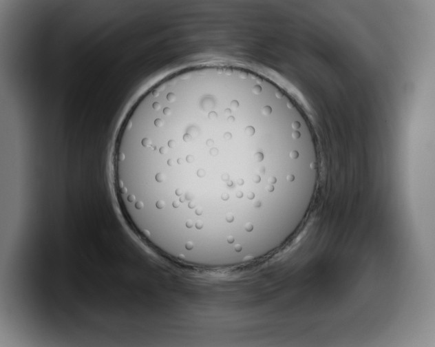X0000099501239200805150943
