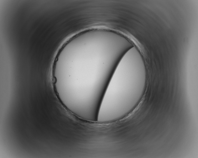 X0000099501240200805150943