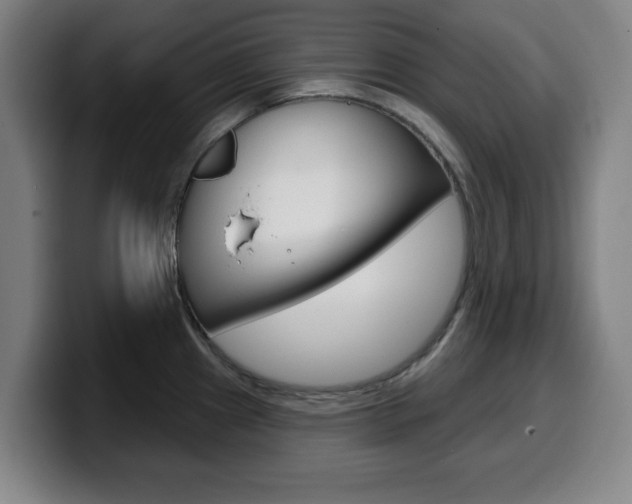 X0000099501241200805150943