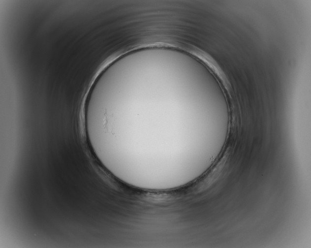 X0000099501242200805150943