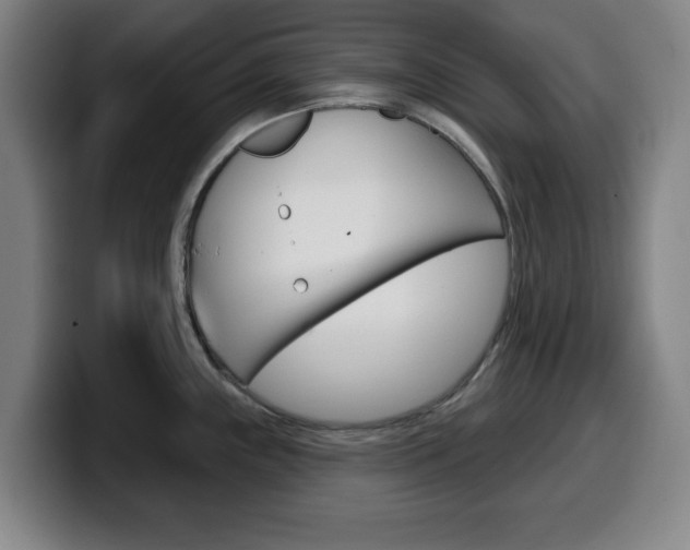 X0000099501243200805150943