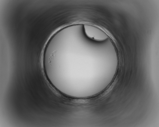 X0000099501246200805150943