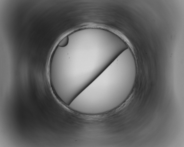 X0000099501247200805150943