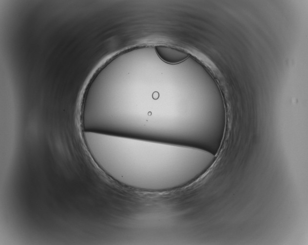 X0000099501248200805150943