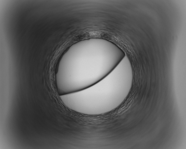 X0000099501249200805150942