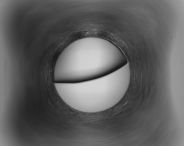 X0000099501250200805150942