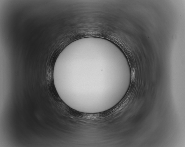 X0000099501251200805150942