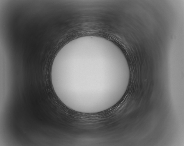 X0000099501252200805150942