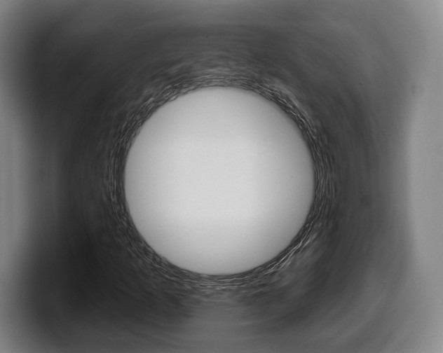 X0000099501253200805150942