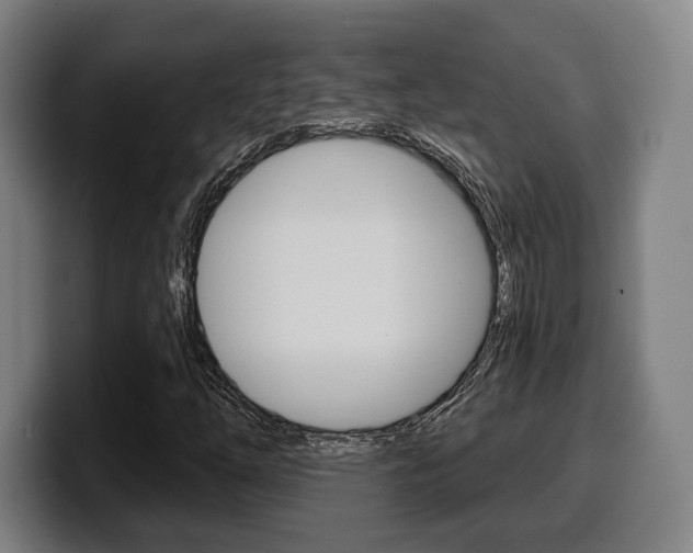 X0000099501254200805150942