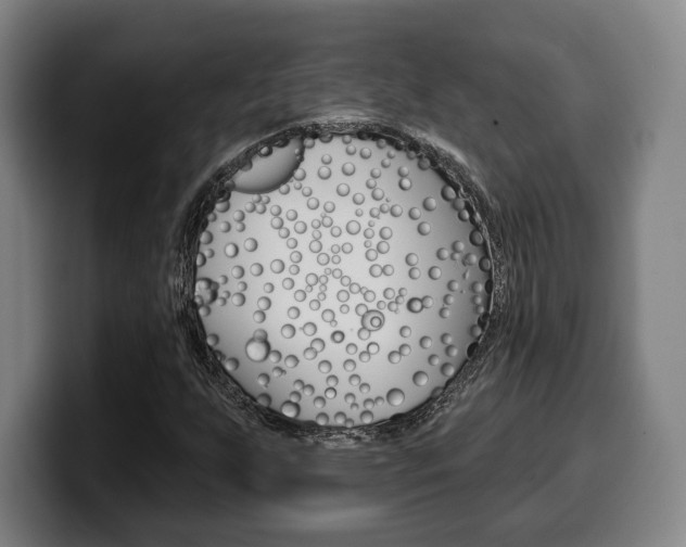 X0000099501255200805150942