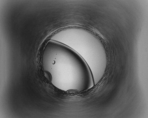 X0000099501256200805150942