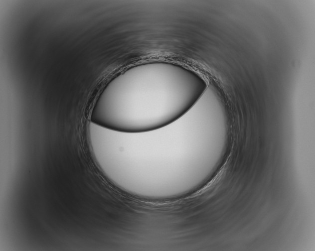 X0000099501257200805150942