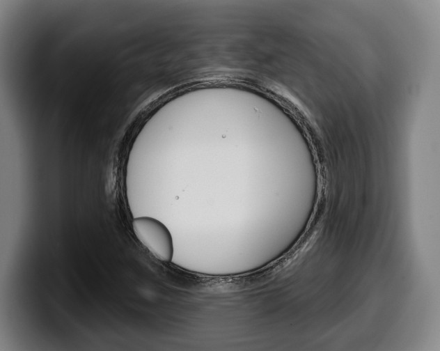 X0000099501259200805150942