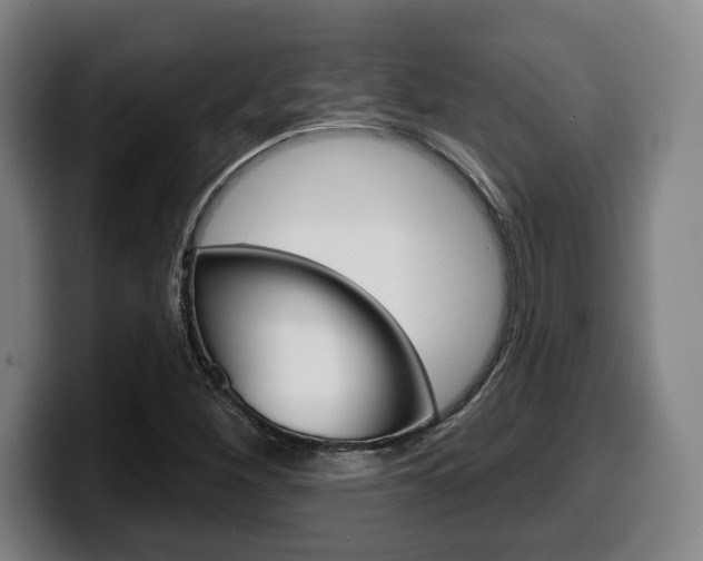 X0000099501260200805150942