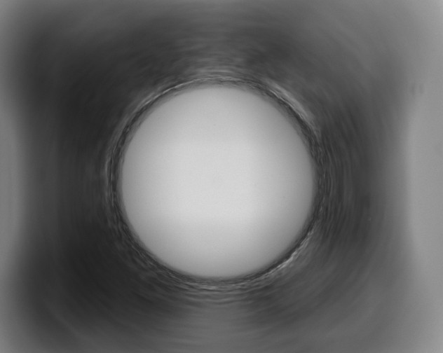 X0000099501261200805150942