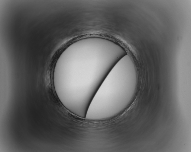 X0000099501262200805150942