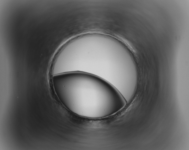 X0000099501264200805150942