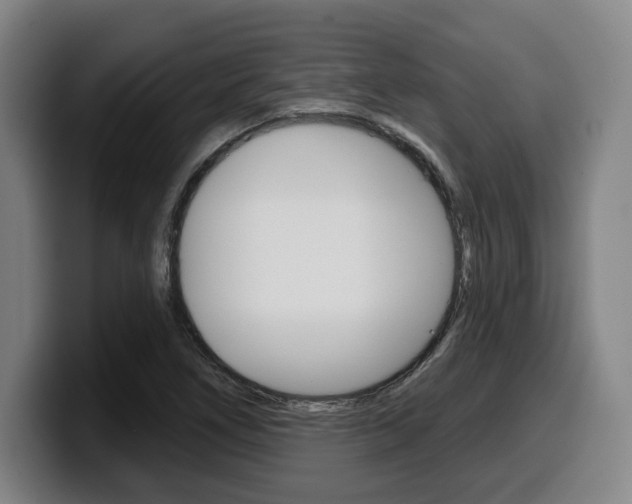 X0000099501266200805150942