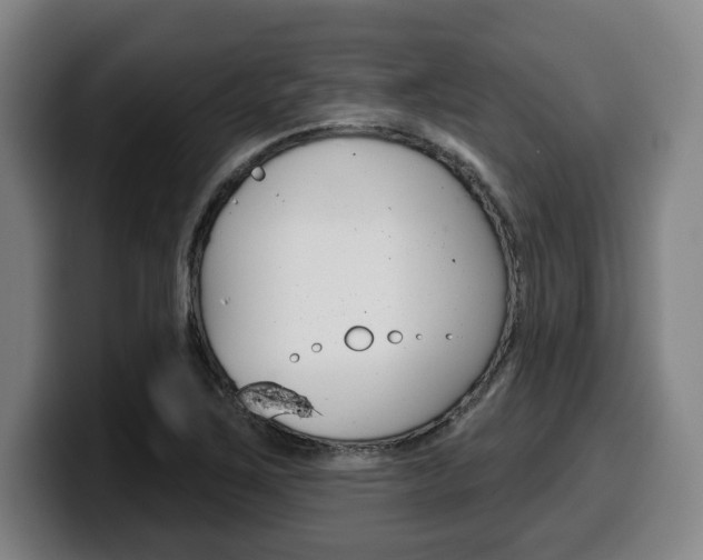 X0000099501267200805150942