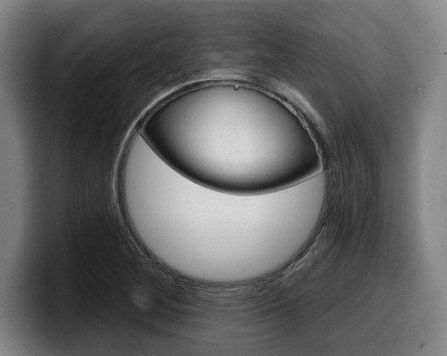 X0000099501268200805150942