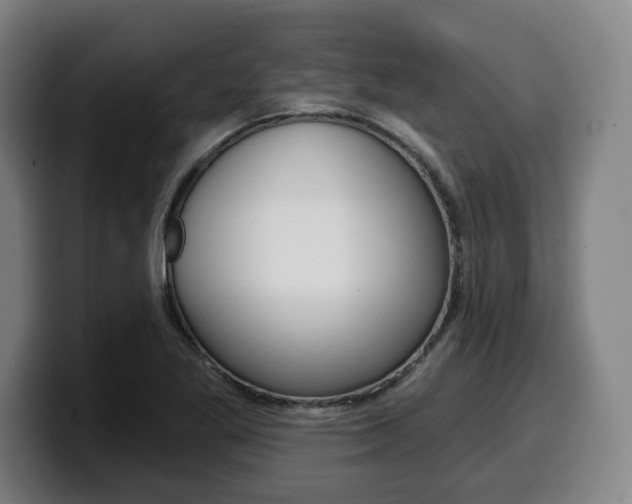 X0000099501269200805150942