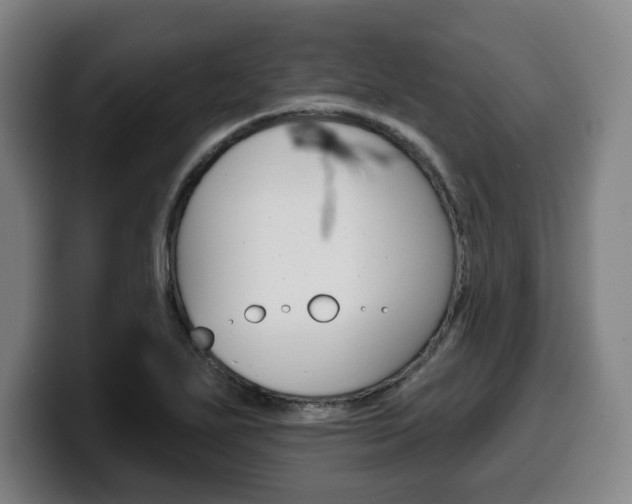 X0000099501271200805150942