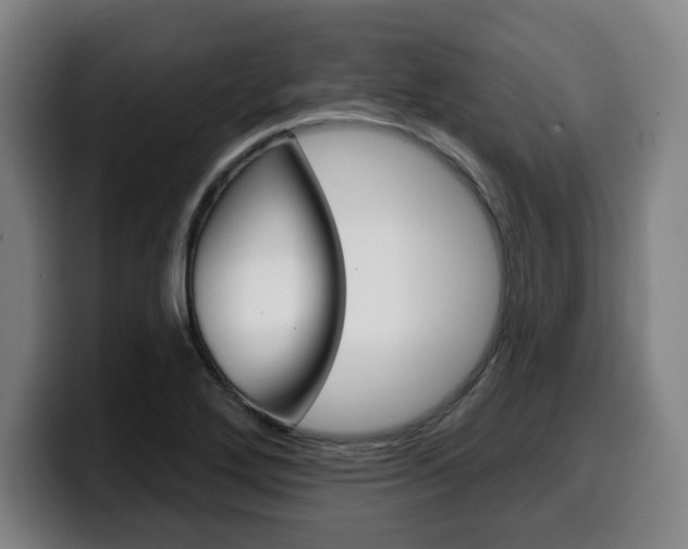 X0000099501272200805150942