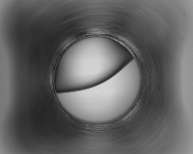 X0000099501273200805150942
