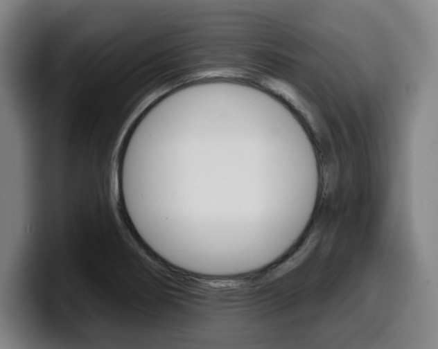 X0000099501274200805150942