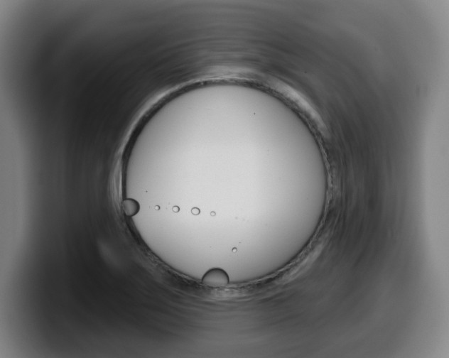 X0000099501275200805150942