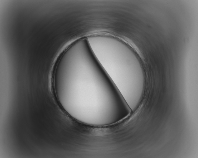 X0000099501277200805150942