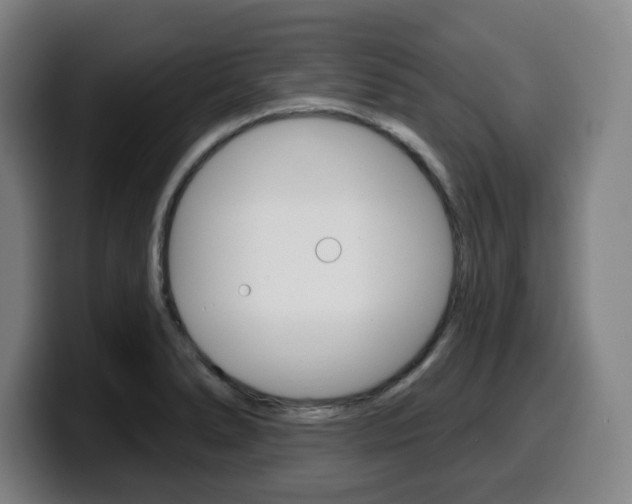 X0000099501278200805150942