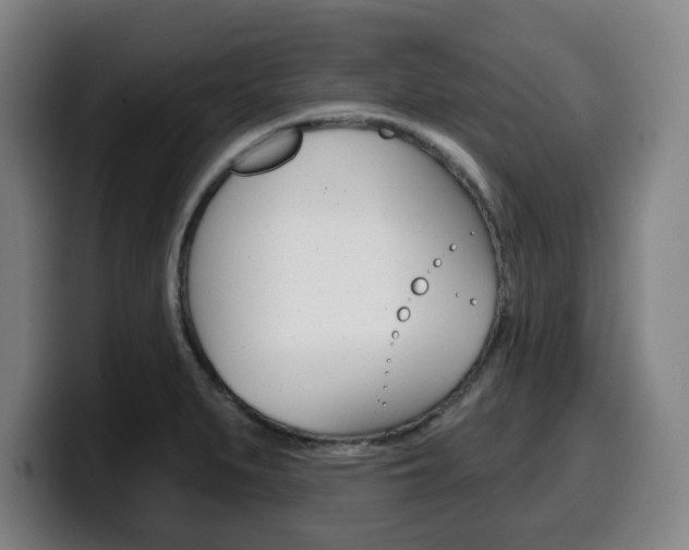 X0000099501279200805150942