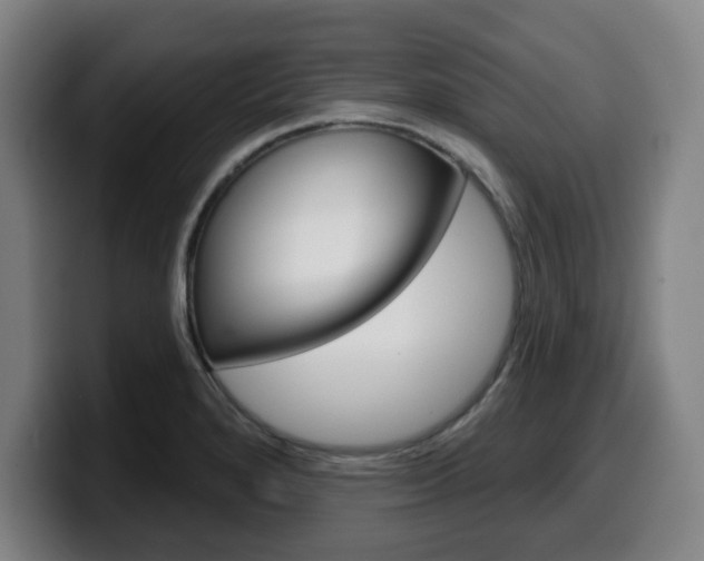 X0000099501280200805150942