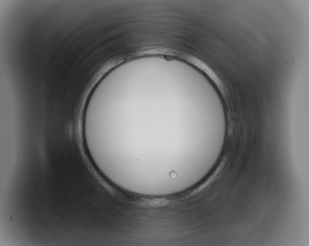 X0000099501282200805150942