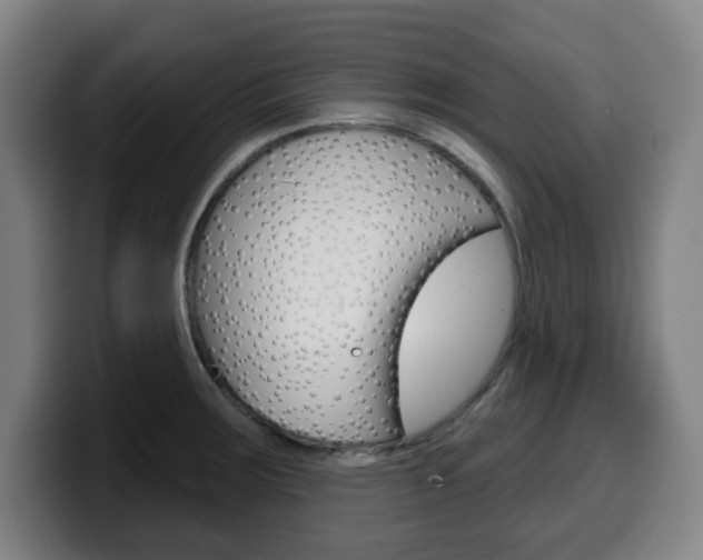 X0000099501283200805150942