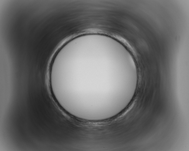 X0000099501286200805150941