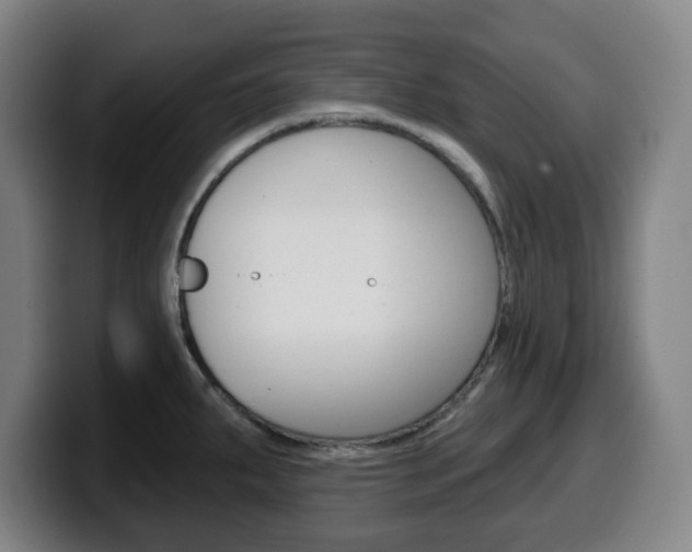 X0000099501287200805150941
