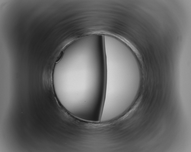 X0000099501289200805150941