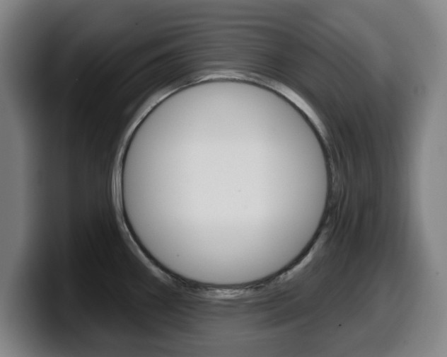 X0000099501290200805150941