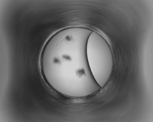 X0000099501291200805150941