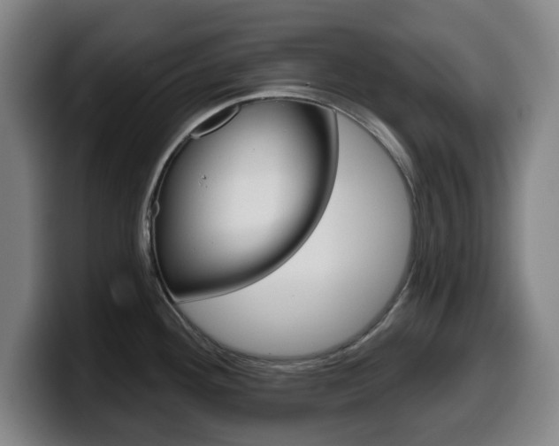 X0000099501292200805150941